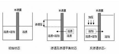 ro膜是什么？為什么說它是凈水器的靈魂？